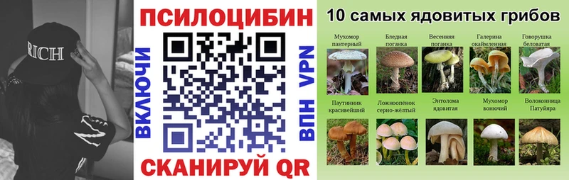 Псилоцибиновые грибы Cubensis  где купить   Лагань 